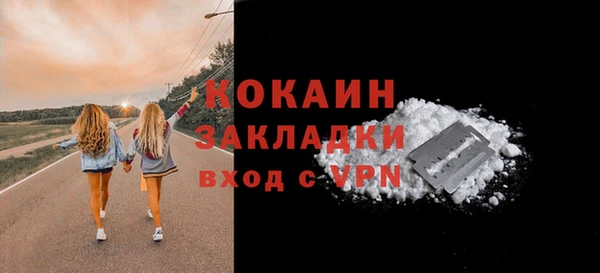 дмт Пересвет