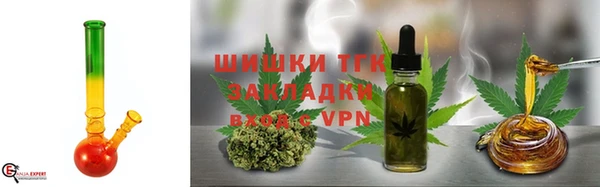 трава Осинники