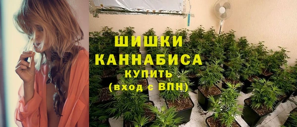 дмт Пересвет
