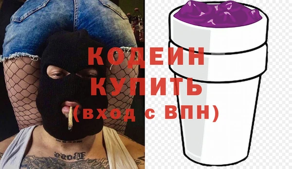 дмт Пересвет