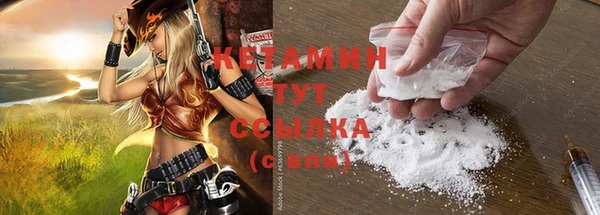 трава Осинники
