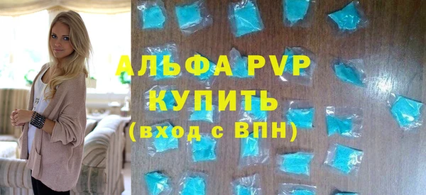 дмт Пересвет