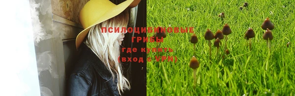 гашиш Пестово