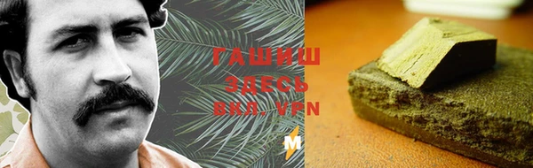 дмт Пересвет