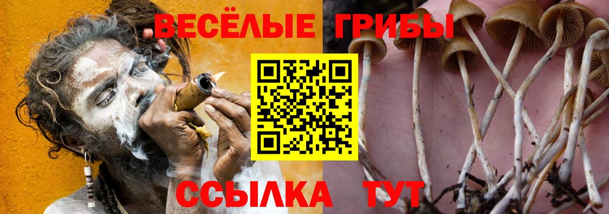 Галлюциногенные грибы прущие грибы Югорск