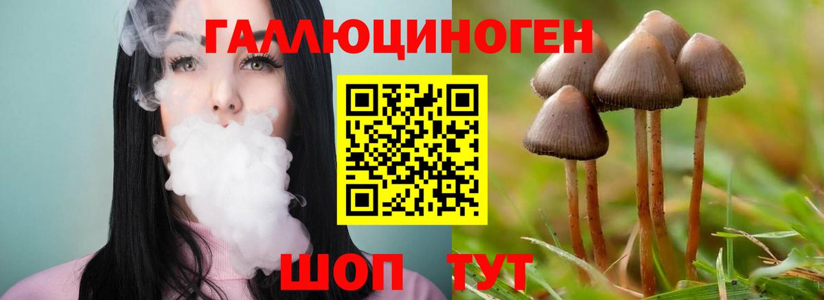 Галлюциногенные грибы Psilocybe  Галлюциногенные грибы Psilocybe  Югорск 